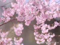 上海沐李贸易有限公司