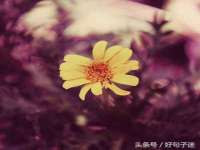 上海沐李贸易有限公司