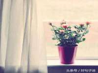 上海沐李贸易有限公司