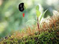 上海沐李贸易有限公司