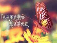 上海沐李贸易有限公司