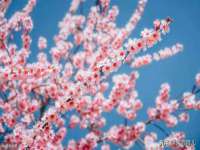 上海沐李贸易有限公司