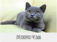 上海沐李贸易有限公司