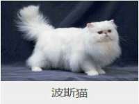 上海沐李贸易有限公司