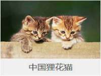 上海沐李贸易有限公司