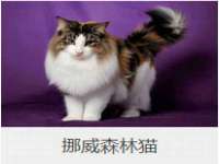 上海沐李贸易有限公司