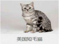 上海沐李贸易有限公司