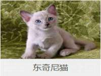 上海沐李贸易有限公司