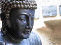 上海沐李贸易有限公司