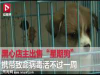 上海沐李贸易有限公司