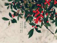上海沐李贸易有限公司
