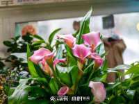 上海沐李贸易有限公司