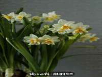 上海沐李贸易有限公司