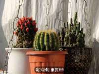 上海沐李贸易有限公司