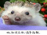 上海沐李贸易有限公司