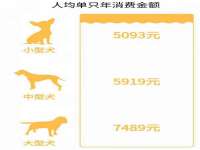 上海沐李贸易有限公司