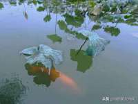上海沐李贸易有限公司