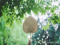 上海沐李贸易有限公司