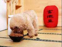 上海沐李贸易有限公司