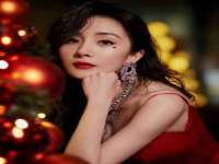 上海沐李贸易有限公司