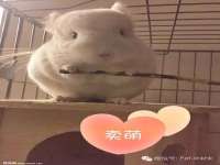 上海沐李贸易有限公司
