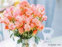 上海沐李贸易有限公司