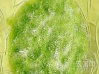 上海沐李贸易有限公司