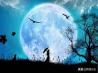 上海沐李贸易有限公司