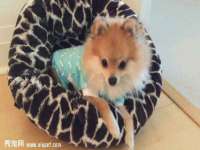 上海沐李贸易有限公司