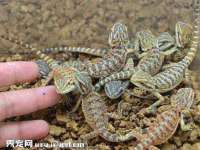 上海沐李贸易有限公司