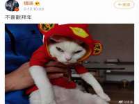上海沐李贸易有限公司
